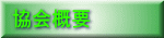 ����T�v