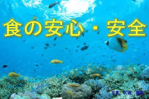 ���C���摜